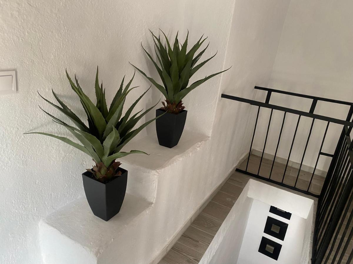 Mi Pequeno Refugio Villa Constantina Eksteriør billede